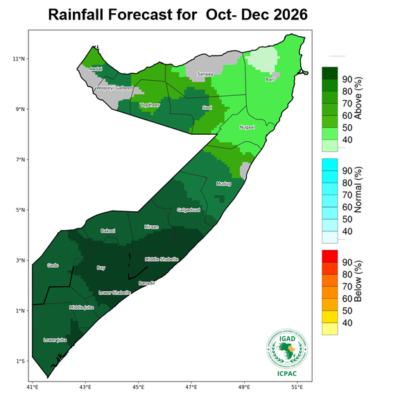 Rainfall forecast