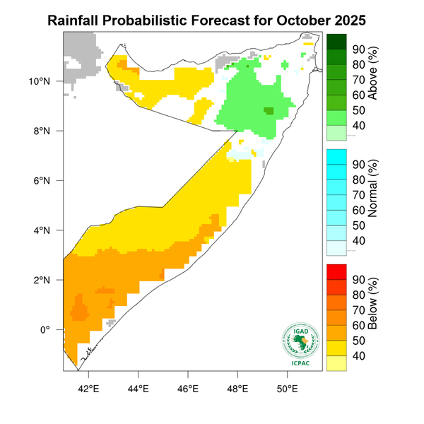 Rainfall forecast
