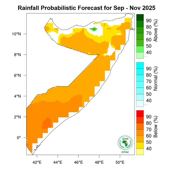 Rainfall forecast