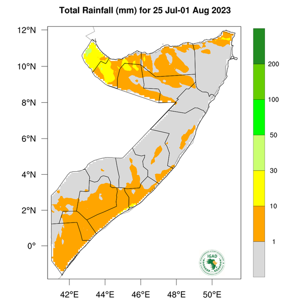 Rainfall forecast