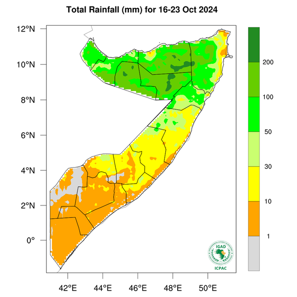 Rainfall forecast