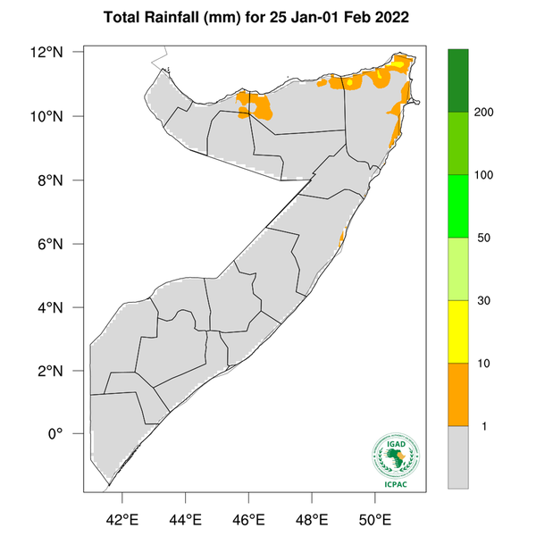 Rainfall forecast