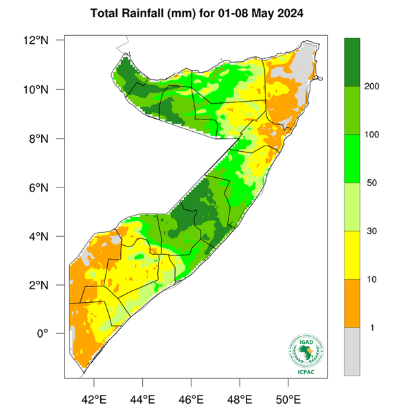 Rainfall forecast