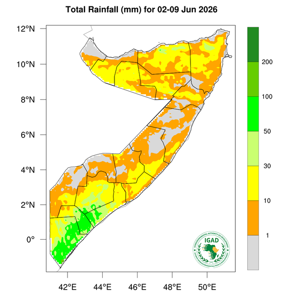 Rainfall forecast