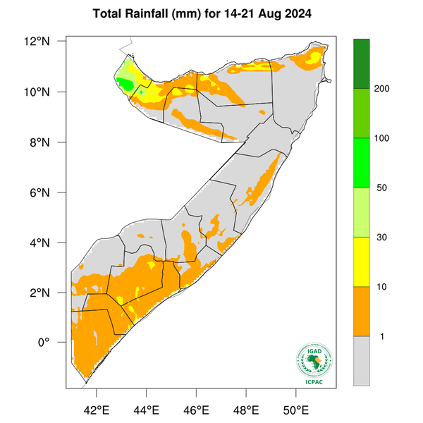 Rainfall forecast
