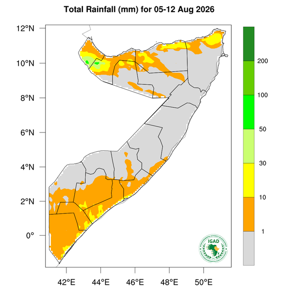 Rainfall forecast
