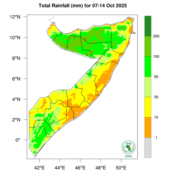 Rainfall forecast