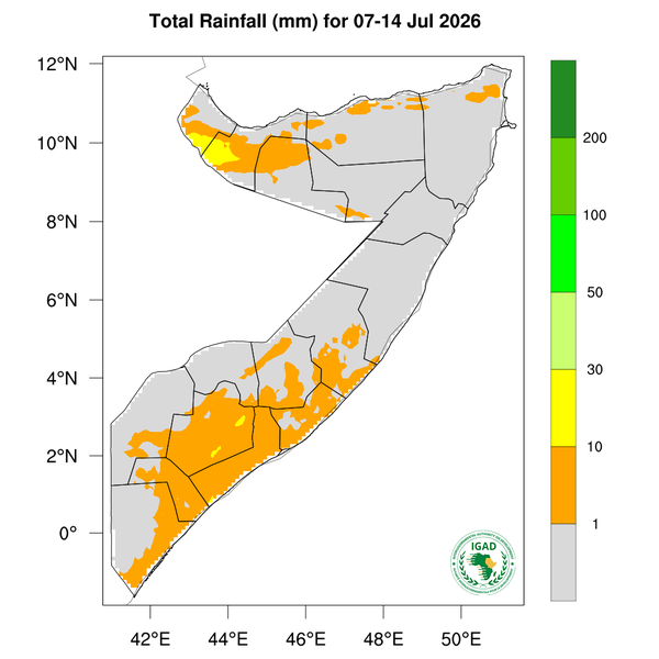 Rainfall forecast