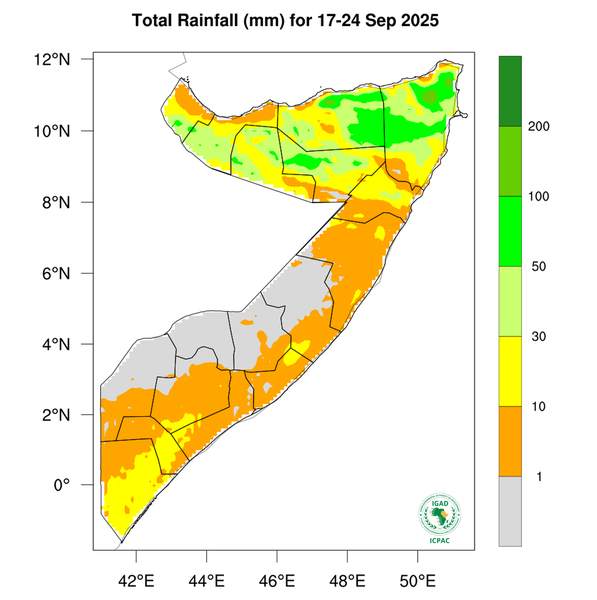 Rainfall forecast