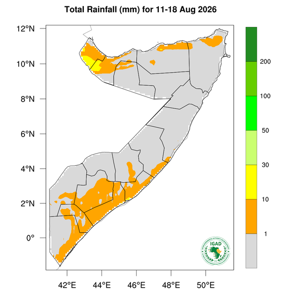 Rainfall forecast