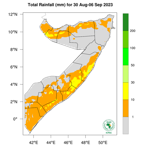 Rainfall forecast