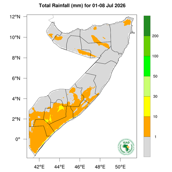 Rainfall forecast
