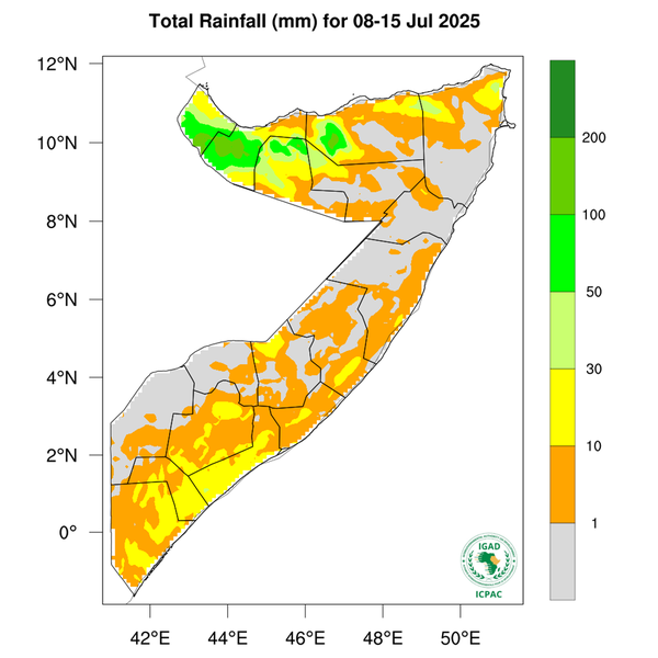 Rainfall forecast