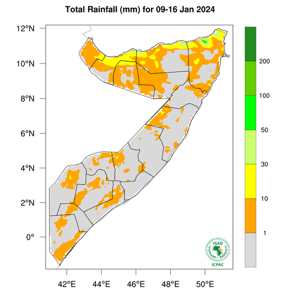 Rainfall forecast