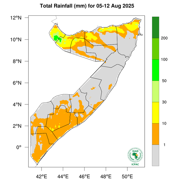 Rainfall forecast