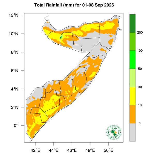 Rainfall forecast