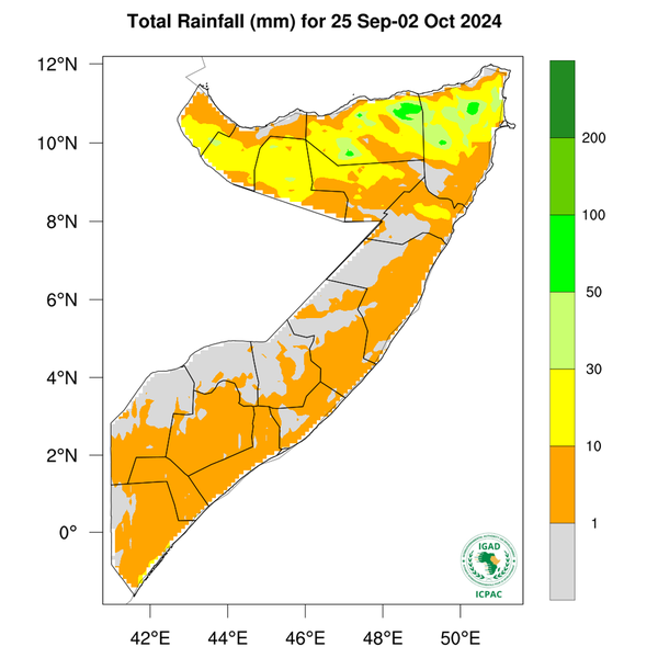 Rainfall forecast
