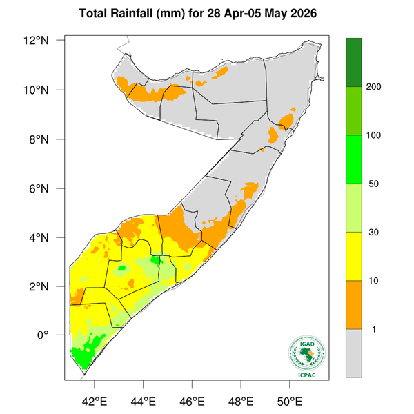 Rainfall forecast