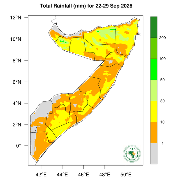 Rainfall forecast