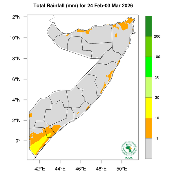 Rainfall forecast