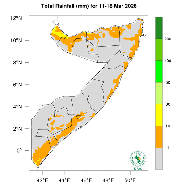 Rainfall forecast