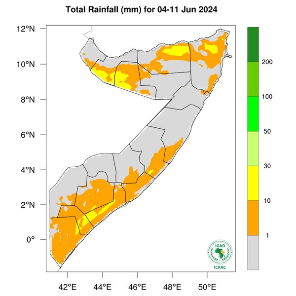 Rainfall forecast