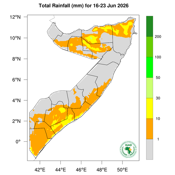 Rainfall forecast