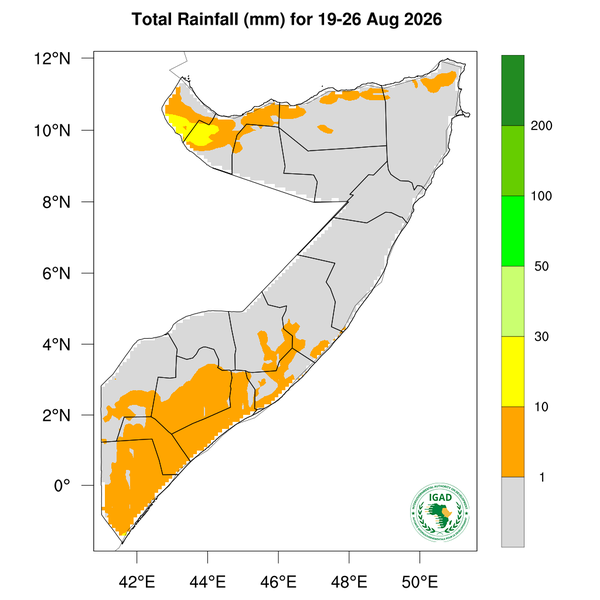 Rainfall forecast