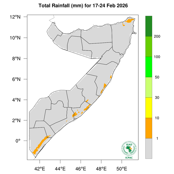 Rainfall forecast