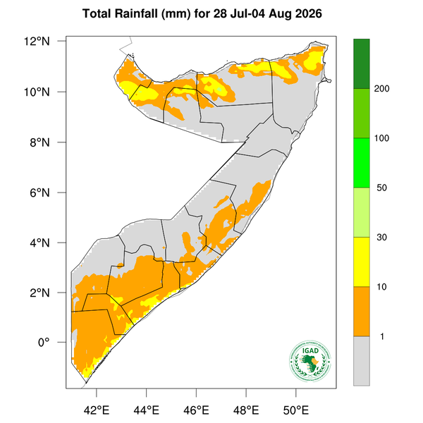 Rainfall forecast