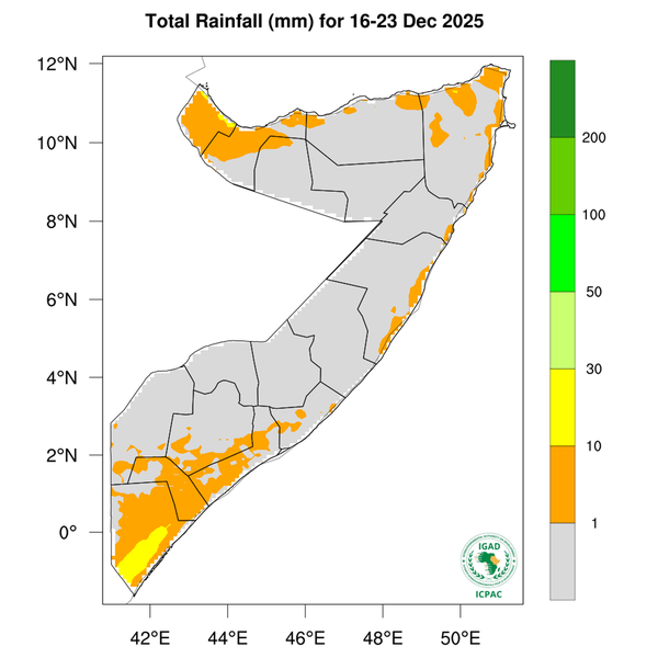 Rainfall forecast