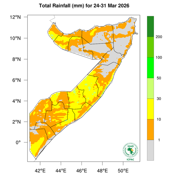 Rainfall forecast