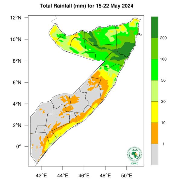 Rainfall forecast