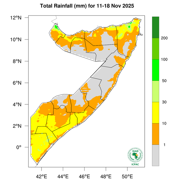 Rainfall forecast