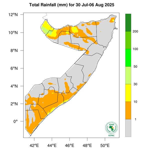 Rainfall forecast