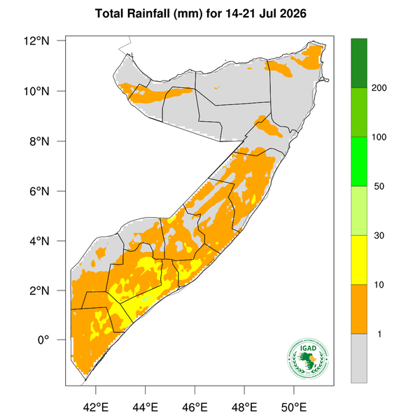 Rainfall forecast