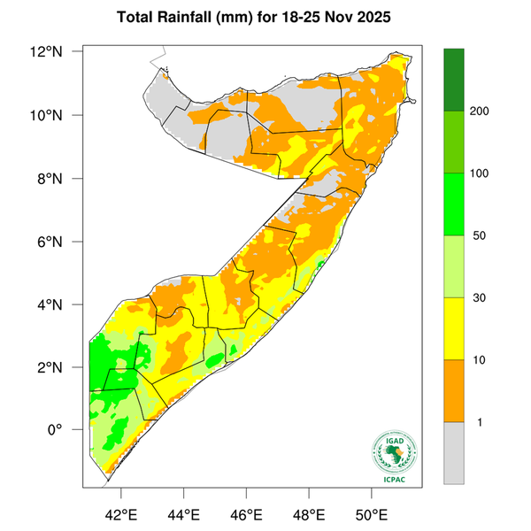 Rainfall forecast