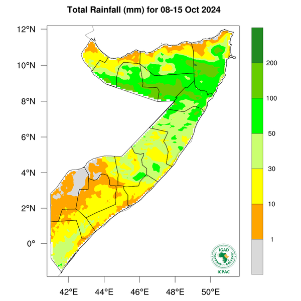 Rainfall forecast