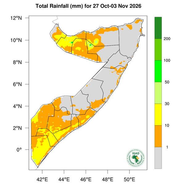 Rainfall forecast