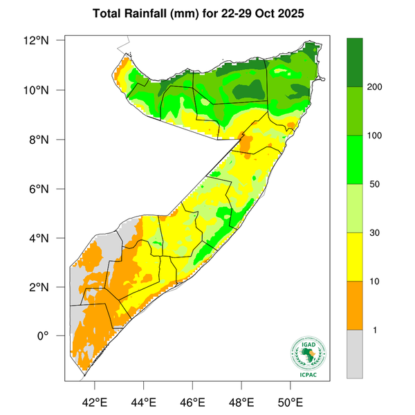 Rainfall forecast