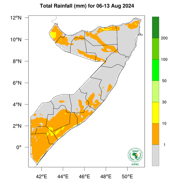 Rainfall forecast