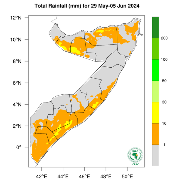 Rainfall forecast