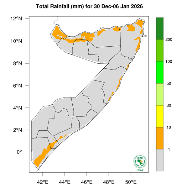 Rainfall forecast