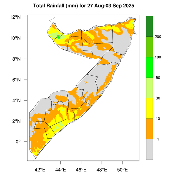 Rainfall forecast