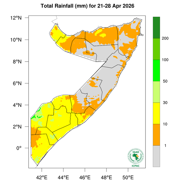 Rainfall forecast