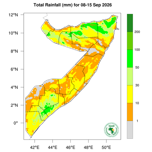 Rainfall forecast