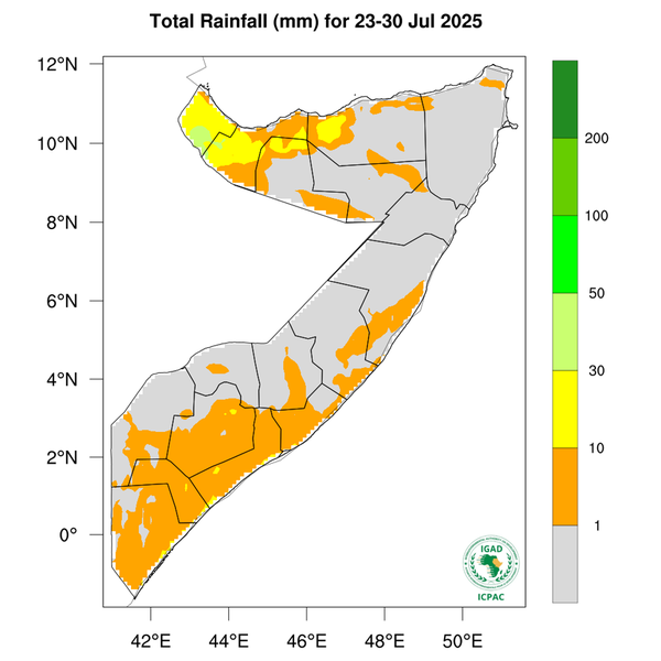 Rainfall forecast