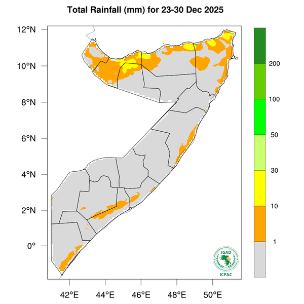 Rainfall forecast