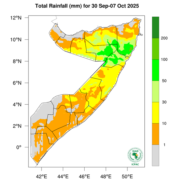Rainfall forecast