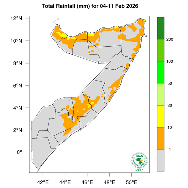 Rainfall forecast